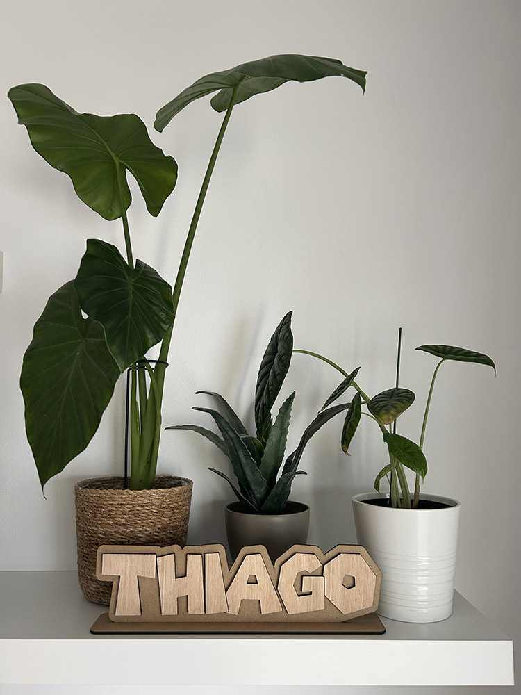 Nombre de Thiago de madera